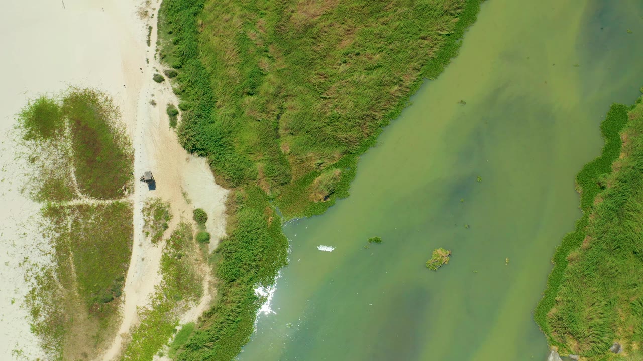 Aerial frame from San Jose Del Cabo where the small boat appears near the lower-left water edge, with green water, pale sand, shoreline plants, and no visible people.