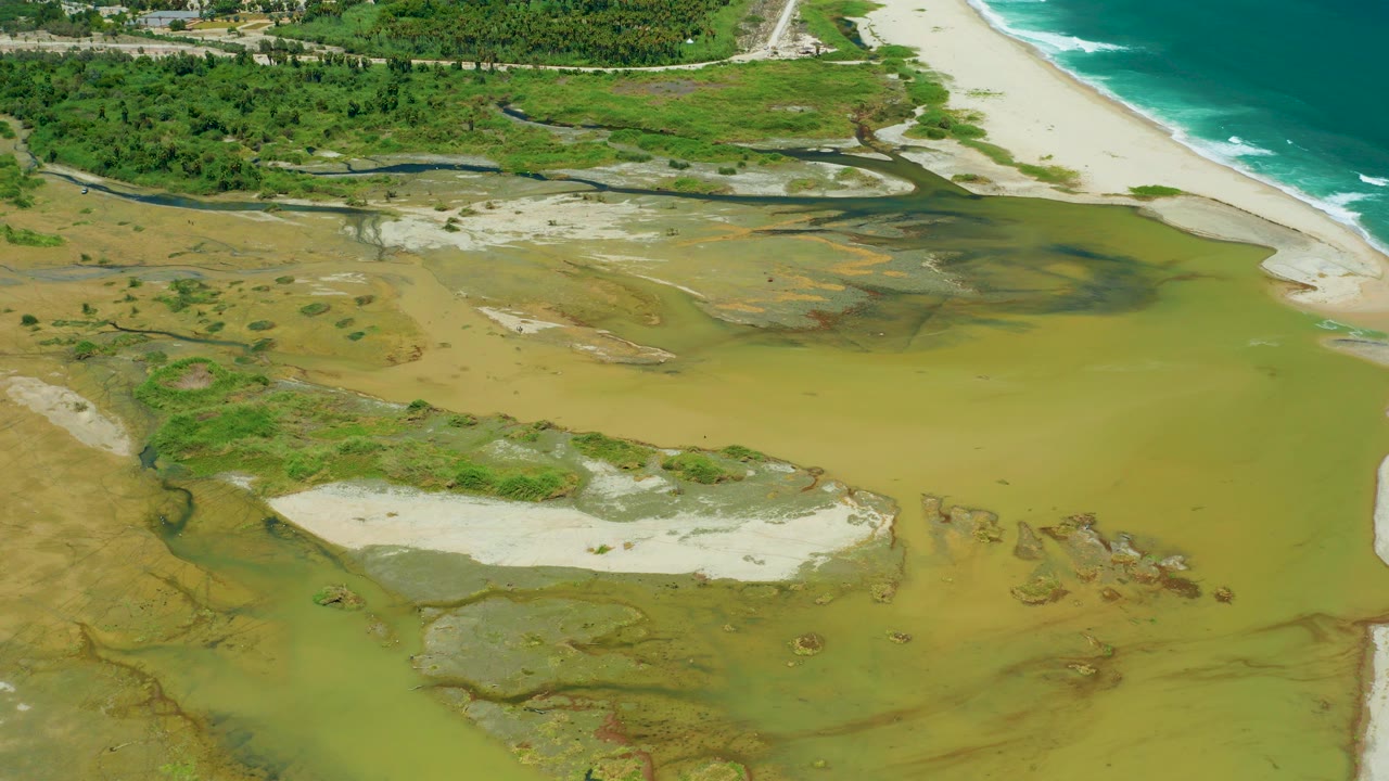 Aerial view of muddy estuary water, sand bars, green vegetation, beach, and ocean surf.