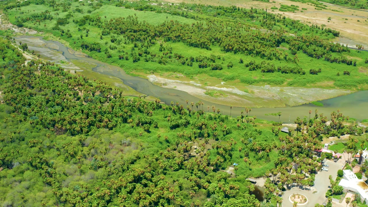 Aerial view in San Jose Del Cabo with the river crossing the upper half, thick palms in the middle, and white tent-like structures and a circular ground feature along the bottom with no visible people.