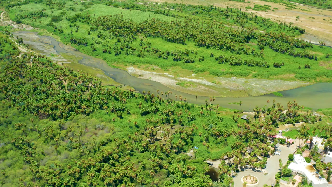 Aerial frame from San Jose Del Cabo with a winding river and pale river flats above dense green palms, plus white camp-like structures and a circular pattern at the bottom, with no visible people.