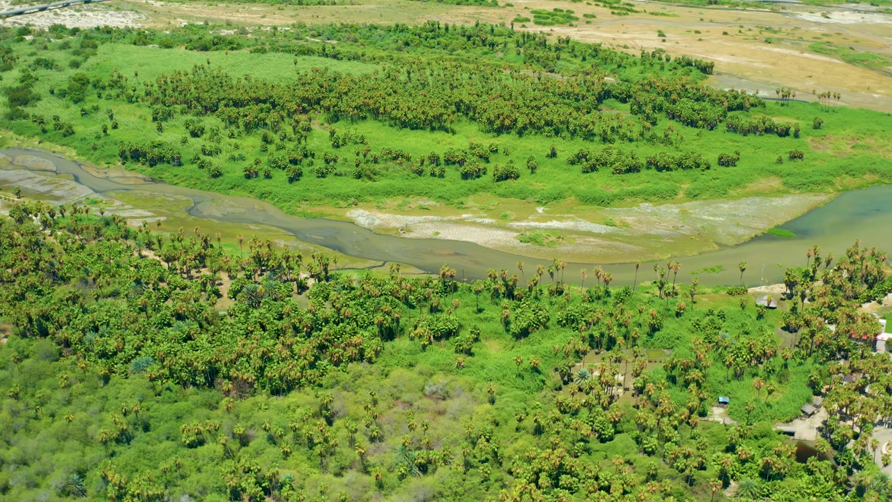 Aerial view in San Jose Del Cabo, Baja California Sur showing the pale river channel, bright green fields, clustered trees, and a small road area near the lower right, with no visible people.