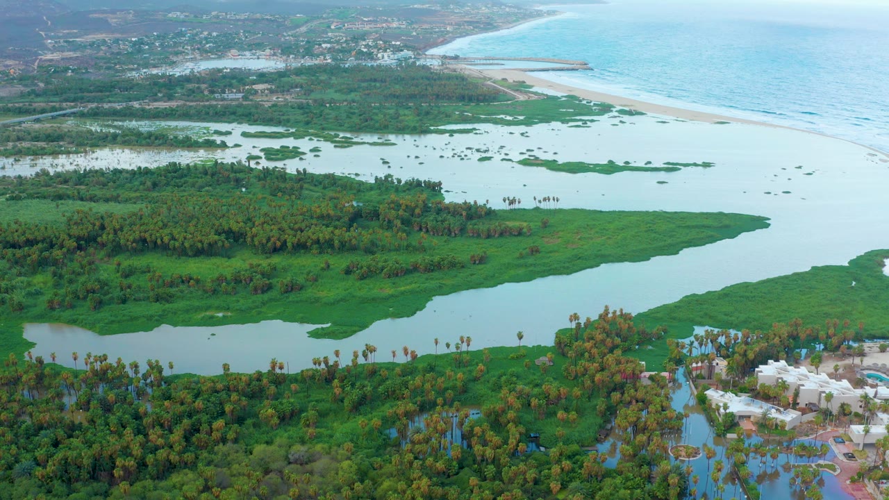 Aerial frame over San Jose del Cabo coastal wetlands with green mangroves, pale lagoon water, a sandy beach, blue ocean, distant inland buildings, and no visible people.