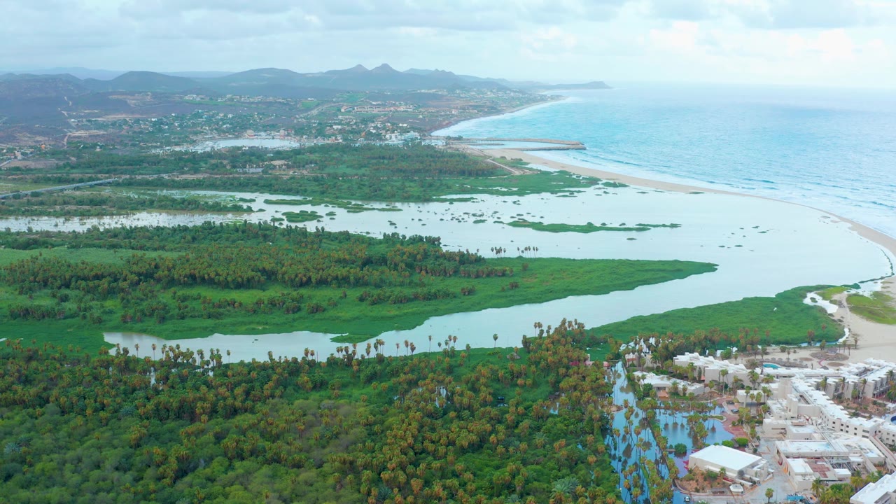 Drone view over palms and wetlands toward a river mouth, beach, blue ocean, hills, and buildings.