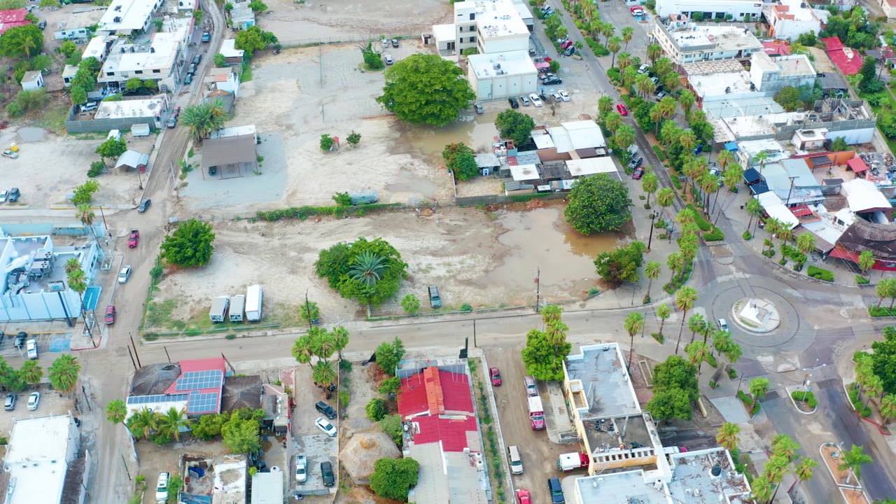 Aerial frame from San Jose del Cabo with the wet open lot at center-left, a palm-lined street and roundabout to the right, and no visible people.