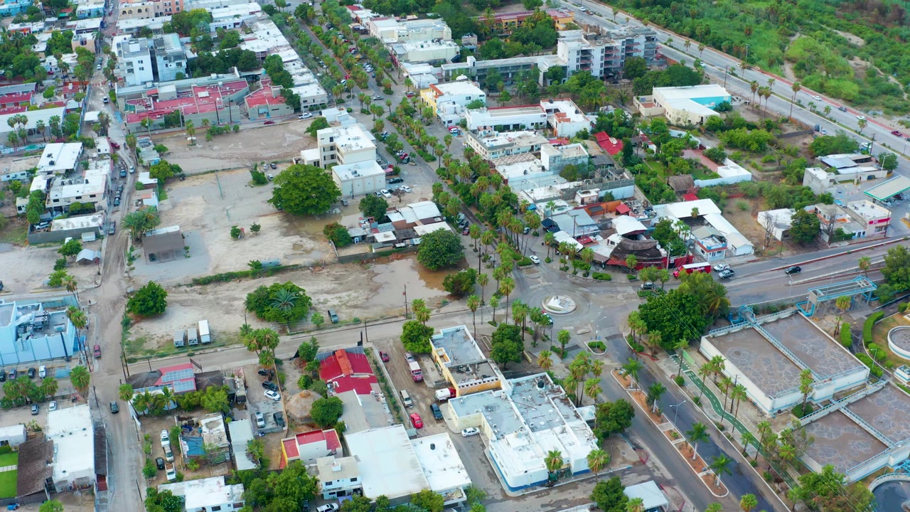 High aerial frame over a San Jose del Cabo residential block with white rooftops, a red-roofed house, tree-lined streets, and no visible people.