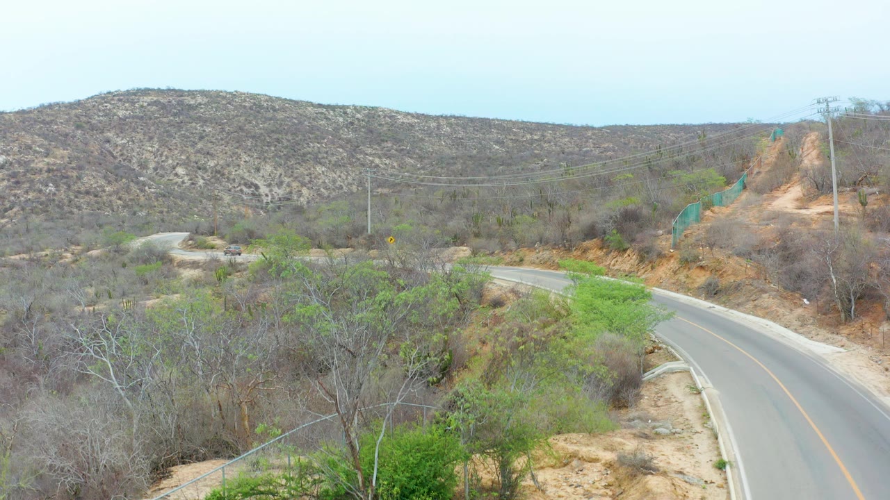 Wide aerial-looking frame of the La Playita Los Cabos road curving through tan dirt, gray trees, green bushes, and scrub-covered hills, with no visible people.