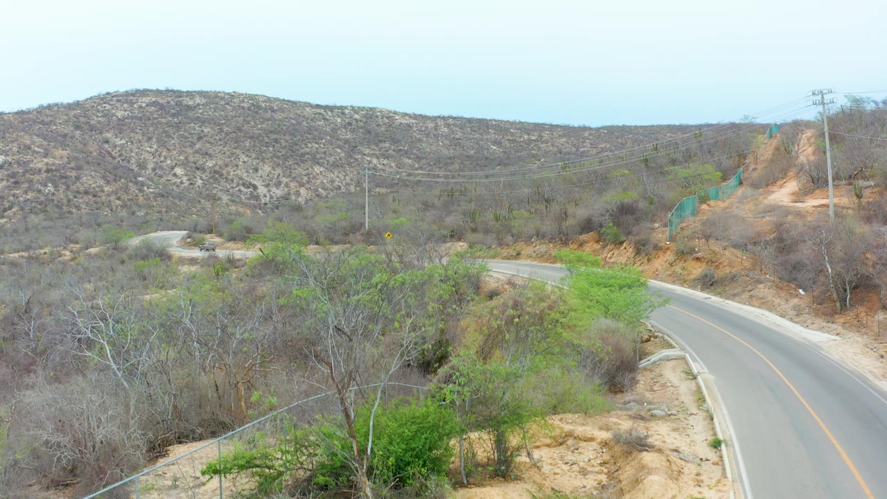 The road bends along the right side of the frame in La Playita Los Cabos, Mexico, with scrubby hills, utility lines, bare trees, and bright green roadside growth, with no visible people.