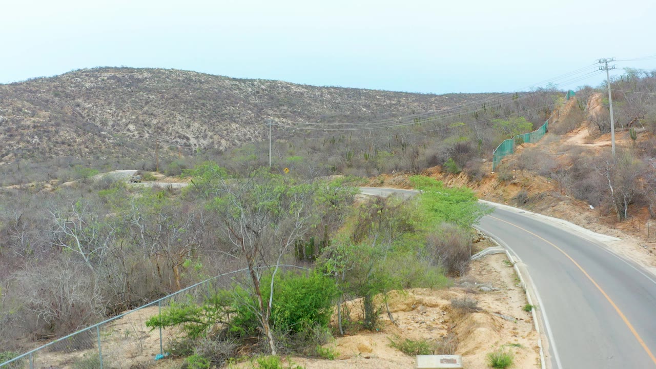 A high wide view shows the winding road running through dry La Playita Los Cabos terrain, with tan shoulders, sparse trees, green patches, and low hills, with no visible people.