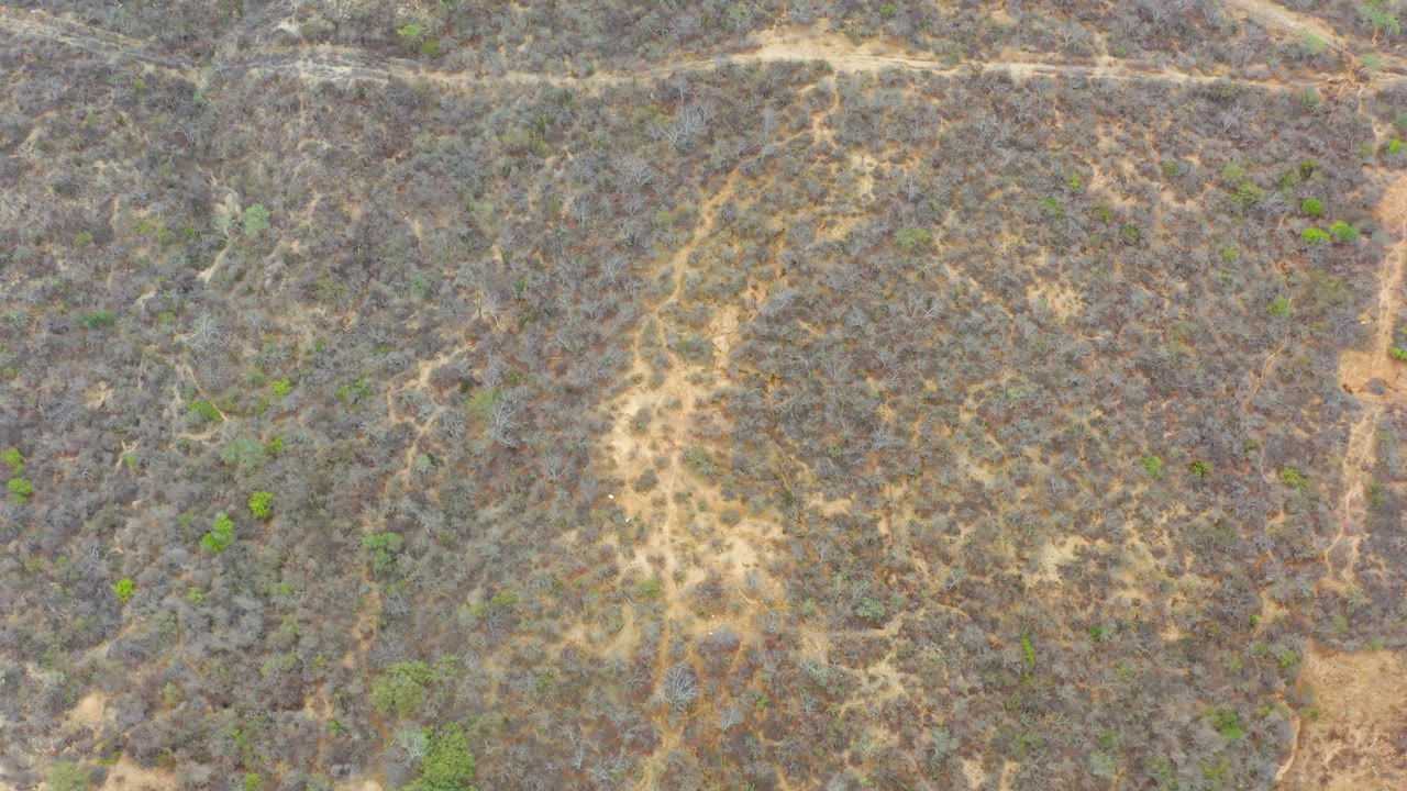 Aerial view in La Playita Los Cabos of dry low scrub, a narrow dirt track running down the frame, and patches of exposed tan soil, no visible people.