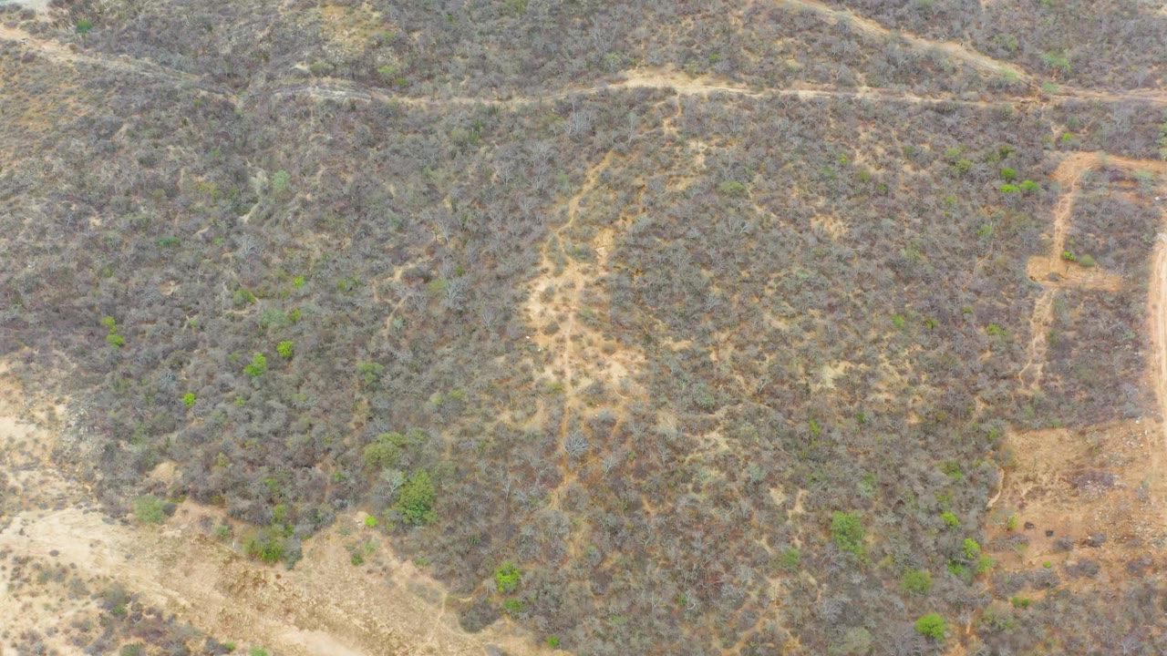 Second frame over La Playita Los Cabos shows branching pale dirt tracks across gray scrub with small green shrub clusters and no visible people.