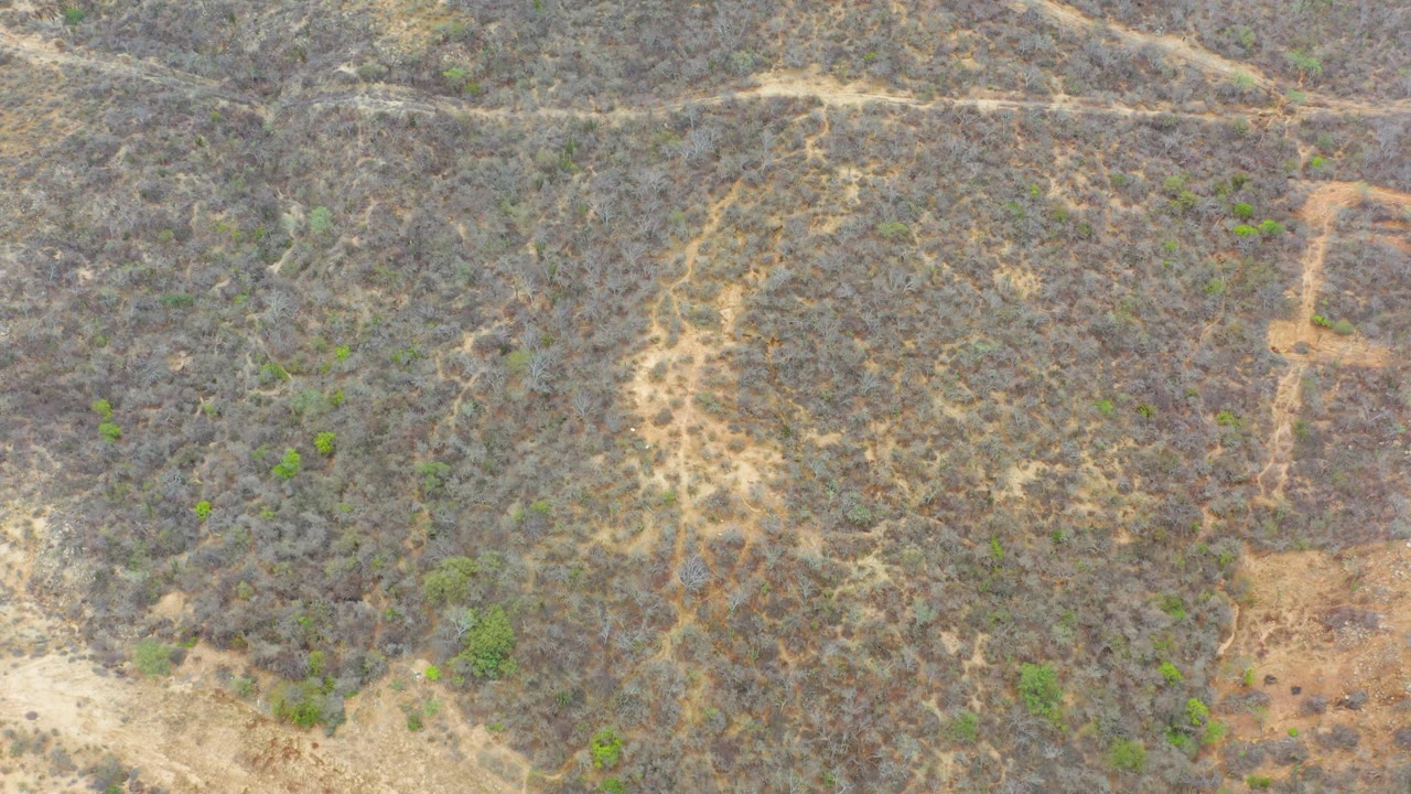Mid-clip overhead view in La Playita Los Cabos shows dry hillside scrub, pale trail marks, small green shrubs, and no visible people.