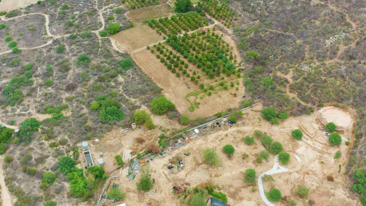 Aerial frame over La Playita Los Cabos with the orchard block at the top right, a dry open field below it, winding pale dirt paths, sparse green trees, and no visible people.