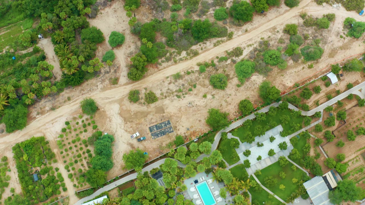 Overhead aerial frame in La Playita Los Cabos showing a pale dirt road crossing cleared tan ground, dense green trees, landscaped paths, a small pool edge, and no visible people.