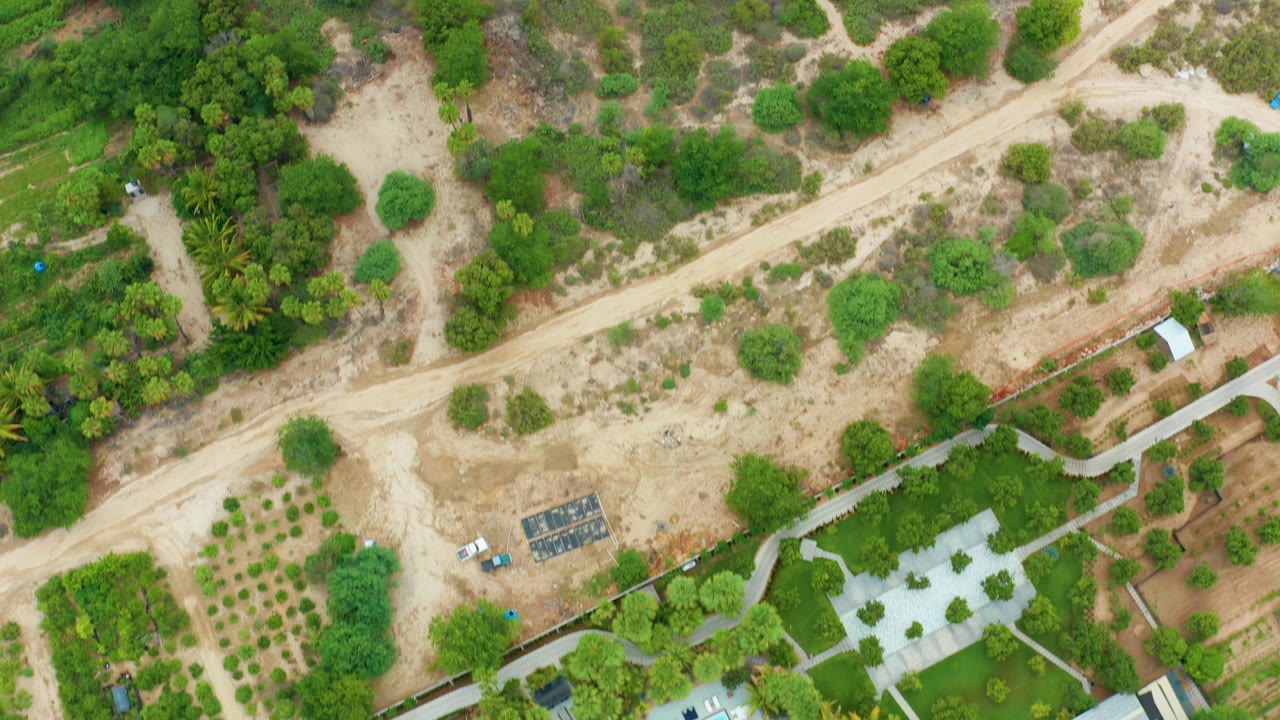Top-down frame in La Playita Los Cabos showing sandy disturbed ground, a diagonal dirt road, green tree clusters, property pathways, planted areas, and no visible people.
