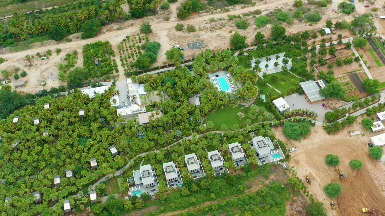Overhead drone frame from La Playita Los Cabos showing modern homes with small blue pools at the lower right, dense green trees through the center, dirt roads above, and no visible people.