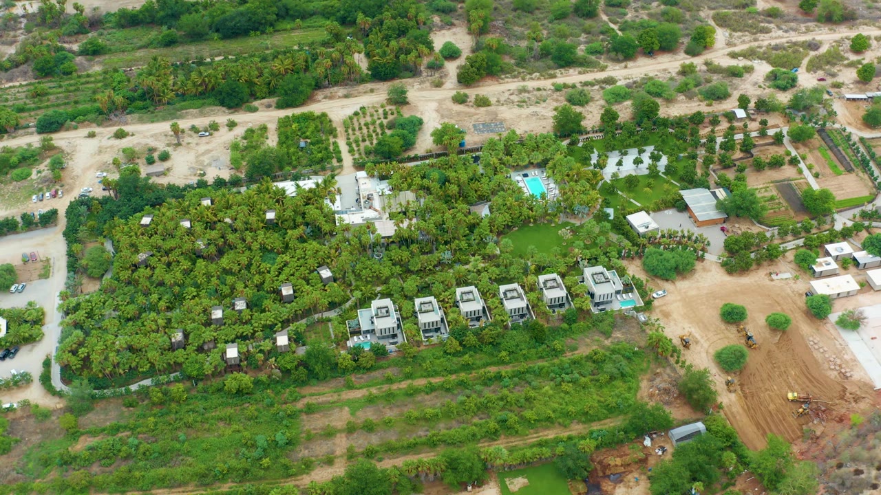 Aerial view in La Playita Los Cabos with the row of new homes more centered, green tree cover in the foreground, pale roads through the middle, and a cleared dirt work zone at right, with no visible people.