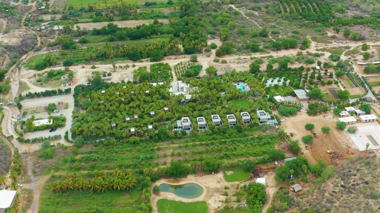 Overhead rural landscape with palms, planted rows, dirt tracks, and small structures.