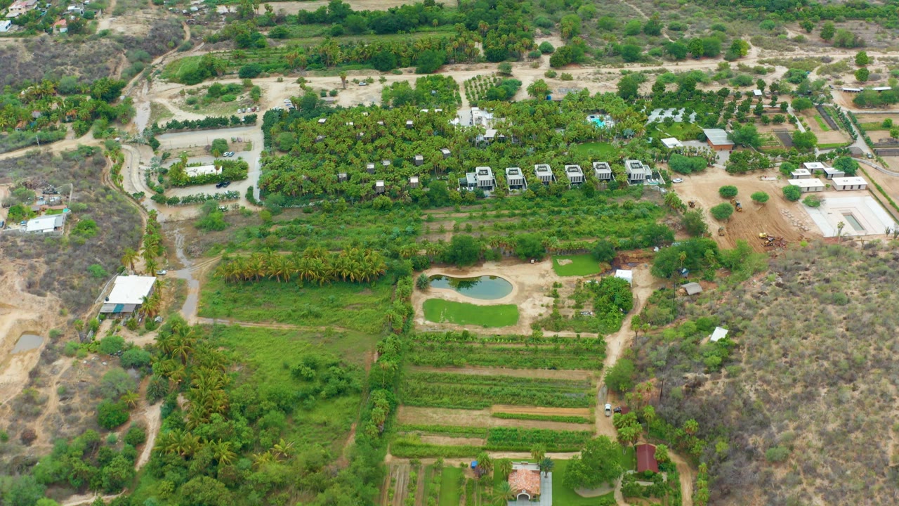 Opening aerial frame over rural La Playita Los Cabos farmland, with green crop rows, a small pond near the lower center, dry scrub to the right, and no visible people.