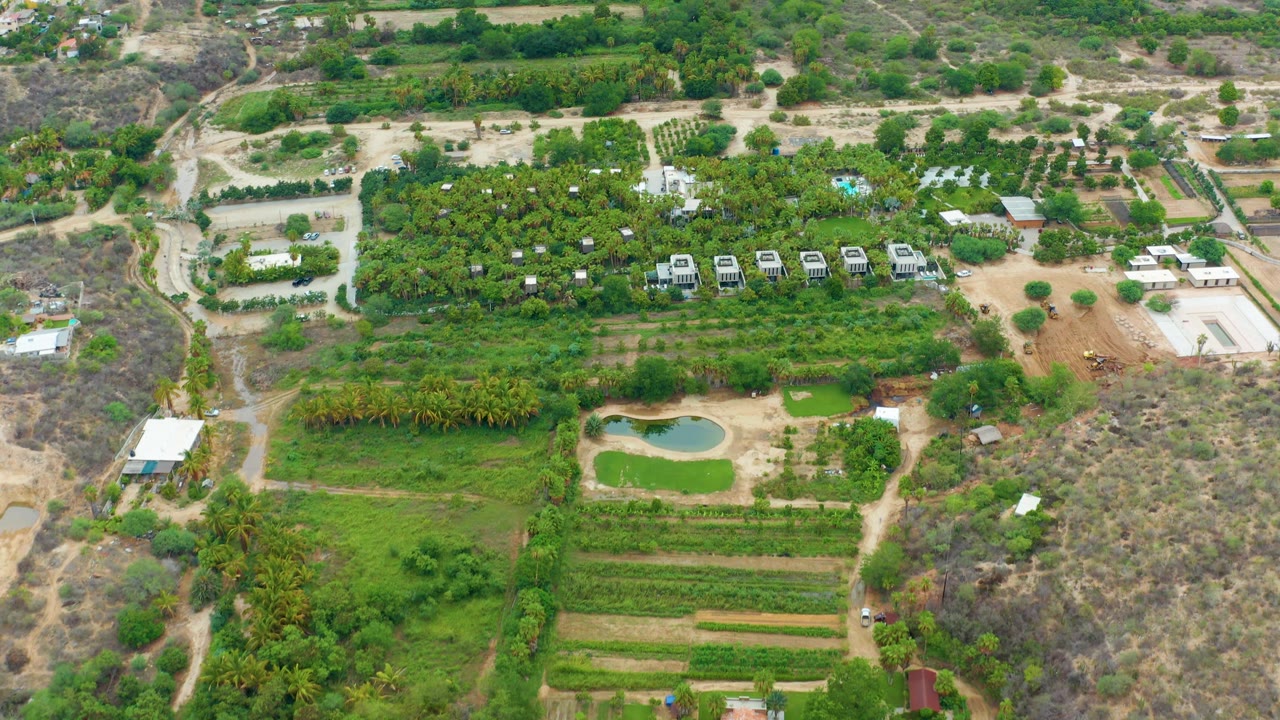 La Playita Los Cabos aerial view with the pond near the lower middle, dense green trees across the upper field, a cluster of small buildings, and no visible people.