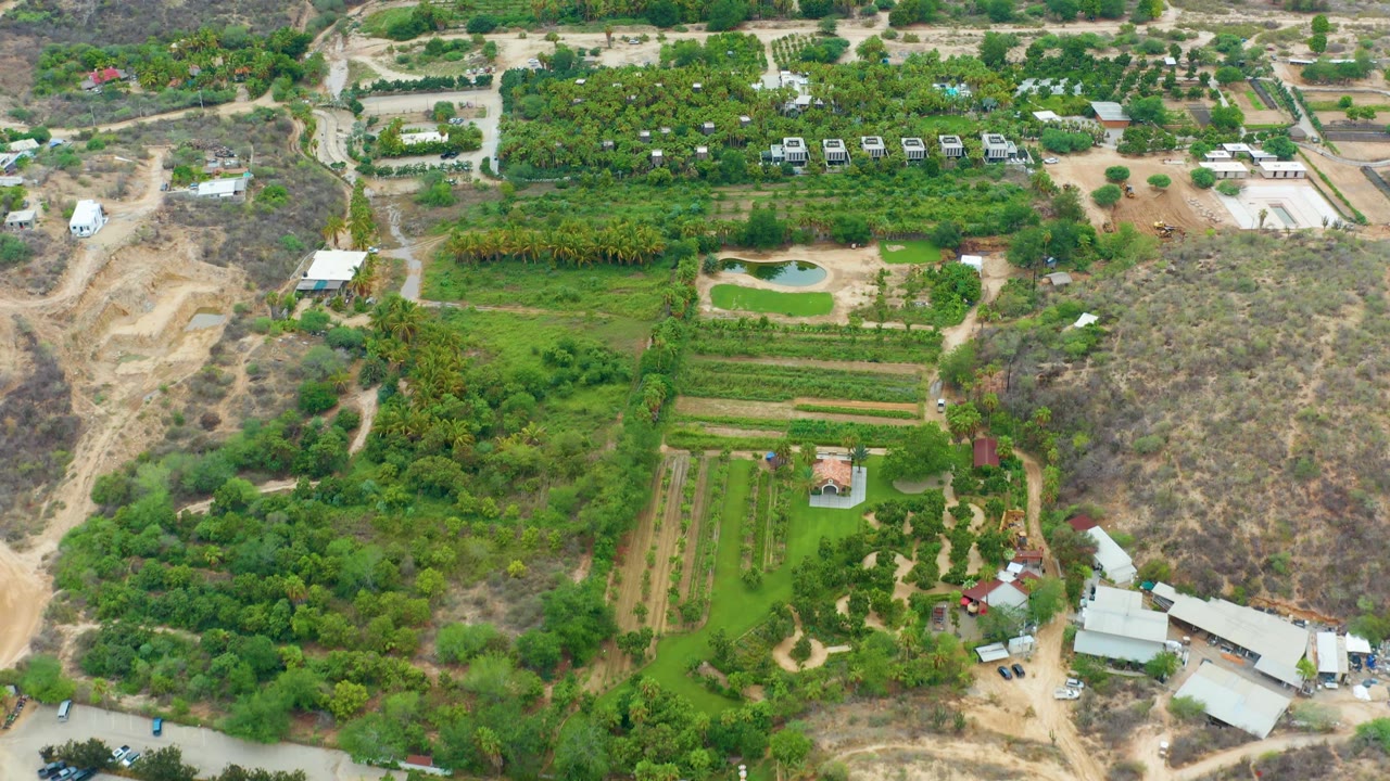Overhead rural estate with cultivated rows, trees, dirt tracks, and dry hillside.