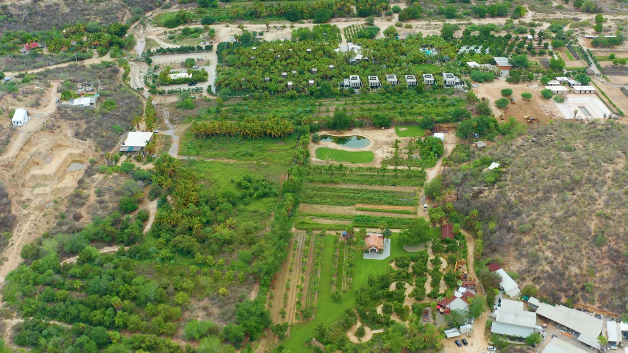 Aerial view of rural property with orchard rows, pool, buildings, and dirt access roads.
