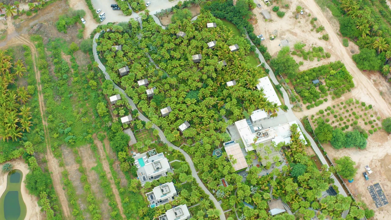 Opening overhead frame of an estate in La Playita Los Cabos with dense greenery, pale buildings, dirt tracks, tree rows, a small green water body, and no visible people.