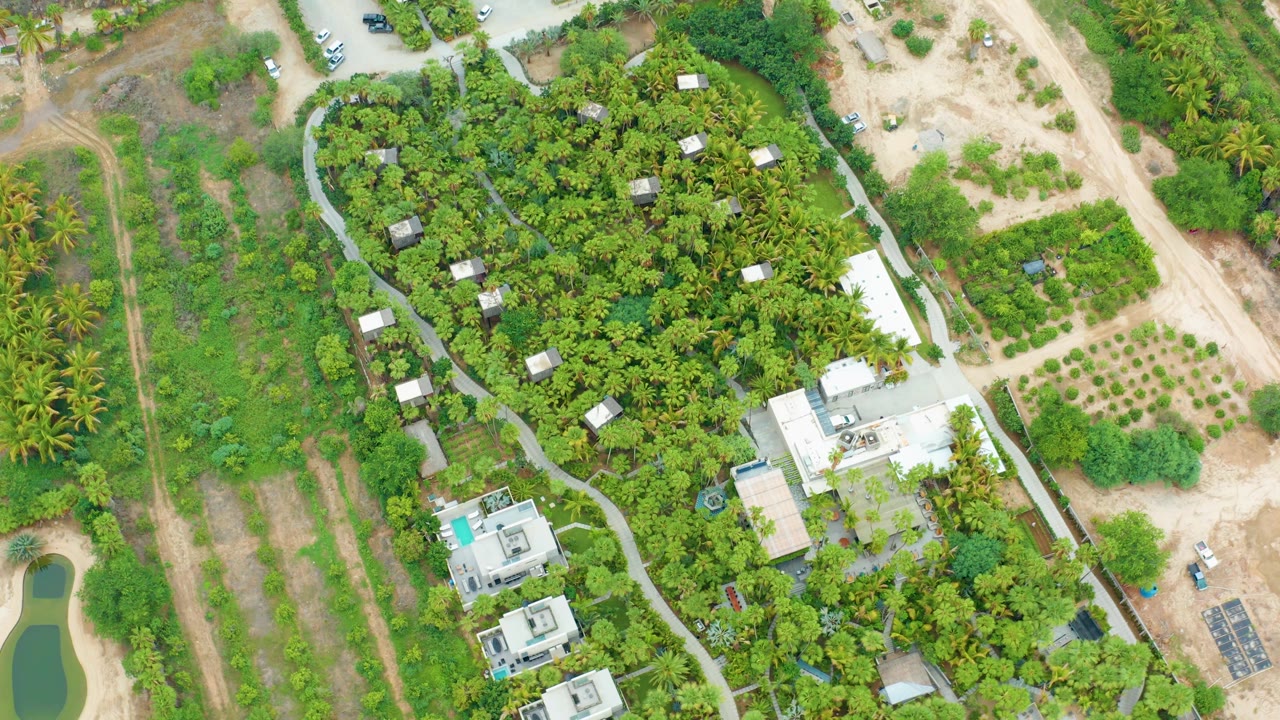 Aerial estate view with white buildings, planted rows, dirt road, and green water body.