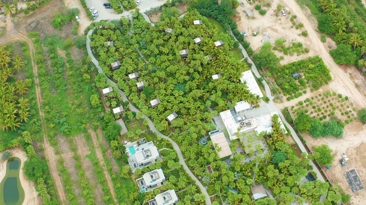 A top-down La Playita Los Cabos frame shows dense estate planting, scattered light roofs, open dirt lots, a small green pond at the lower right, and no visible people.