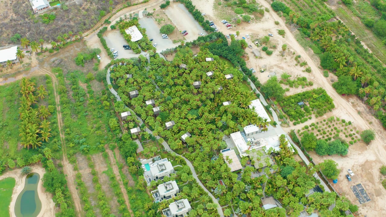 Aerial frame from La Playita Los Cabos with the parking area near the top, cultivated rows to the right, dense trees through the center, small buildings below, and no visible people.