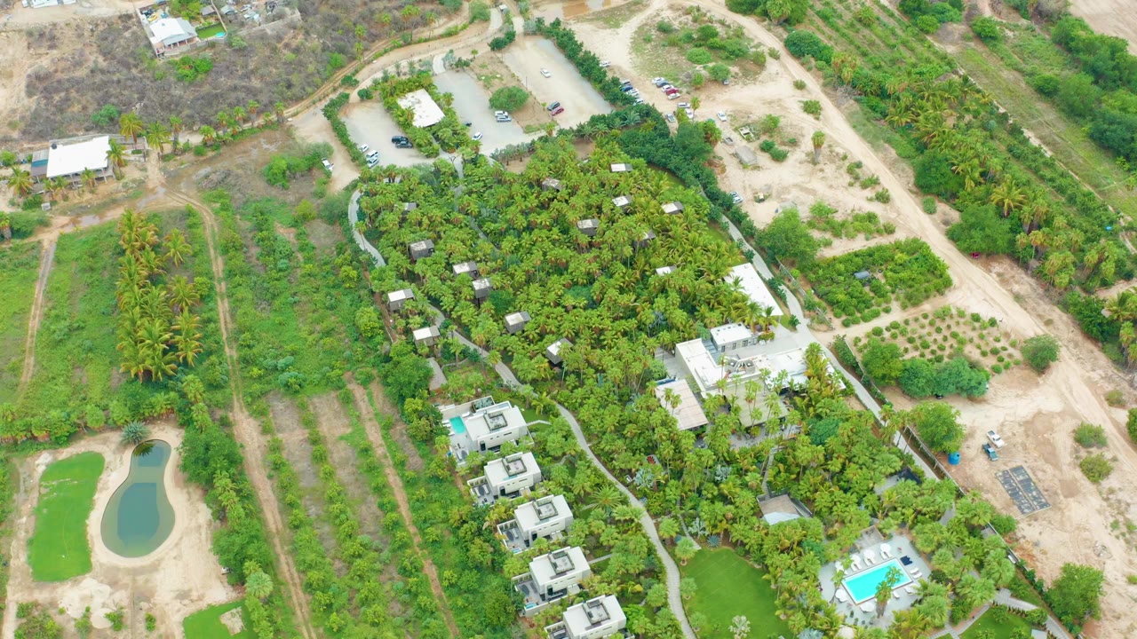 Overhead aerial frame of a La Playita Los Cabos residential property with dense trees, small buildings, a pool near the lower right, a pond at the left edge, sandy roads, parking areas, and no visible people.