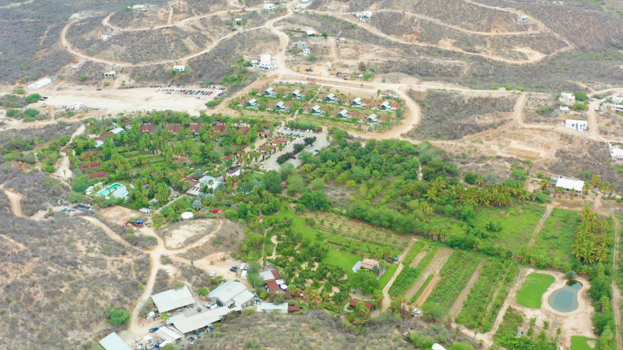A wide aerial view in La Playita Los Cabos shows the farm slightly shifted in frame, with green rows, clustered buildings, a pond at lower right, and dry hill paths behind, with no visible people.