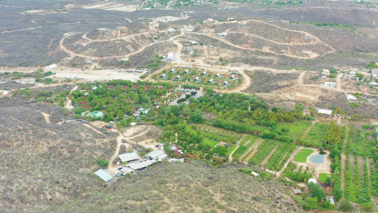 Drone view over La Playita Los Cabos with pale dirt road cuts around dry hills, a green farmed patch with trees and a pond, and no visible people.