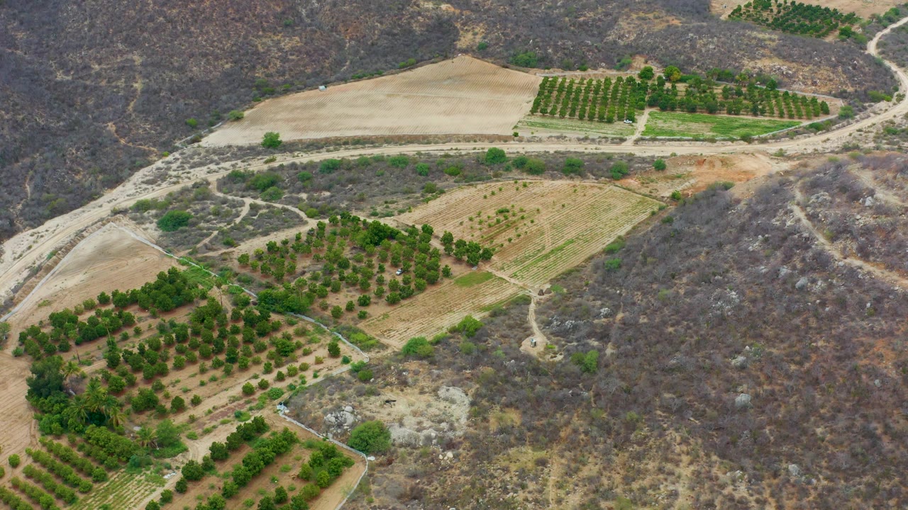 At 0:01, La Playita Los Cabos farmland fills the frame with a lower-left orchard, central tilled plots, a pale track, and dry hills beyond, with no visible people.
