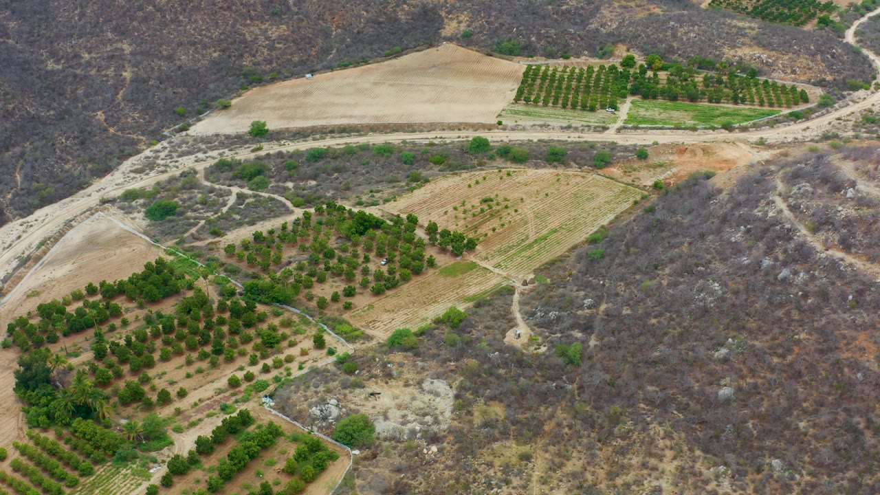 At 0:02, the aerial view shows tree rows in multiple field blocks, a broad tan plot near the top, dirt paths crossing the land, and brown hillside terrain with no visible people.