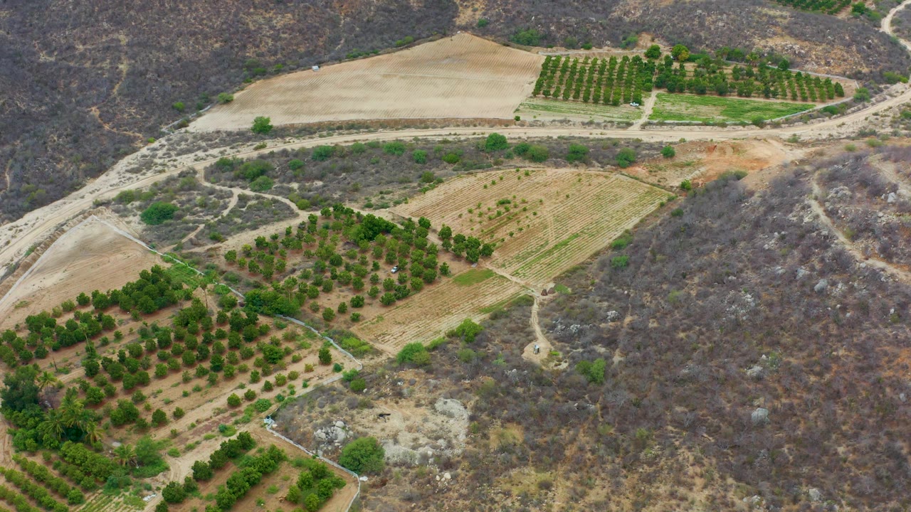 Farmland and orchards seen from above beside dark dry hillside.