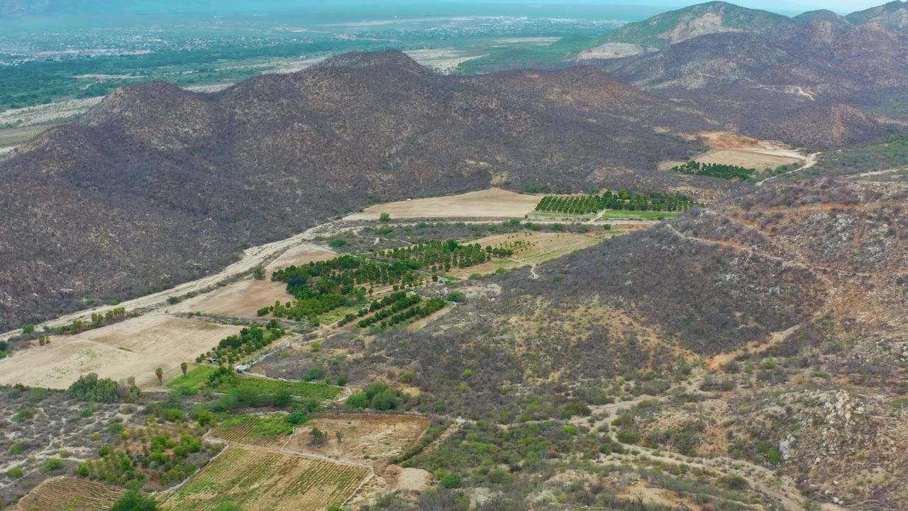 Mid-clip aerial view over La Playita Los Cabos with pale fields in the lower left, green groves in the center, dry hills behind, and no visible people.