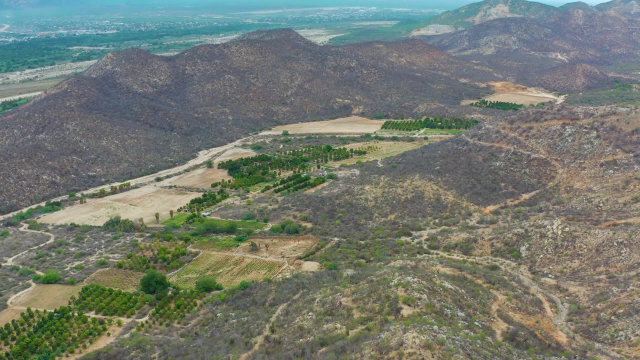 Aerial frame from La Playita Los Cabos showing patchwork tan farmland, green tree rows, a pale dirt track, rocky mountain slopes, and no visible people.