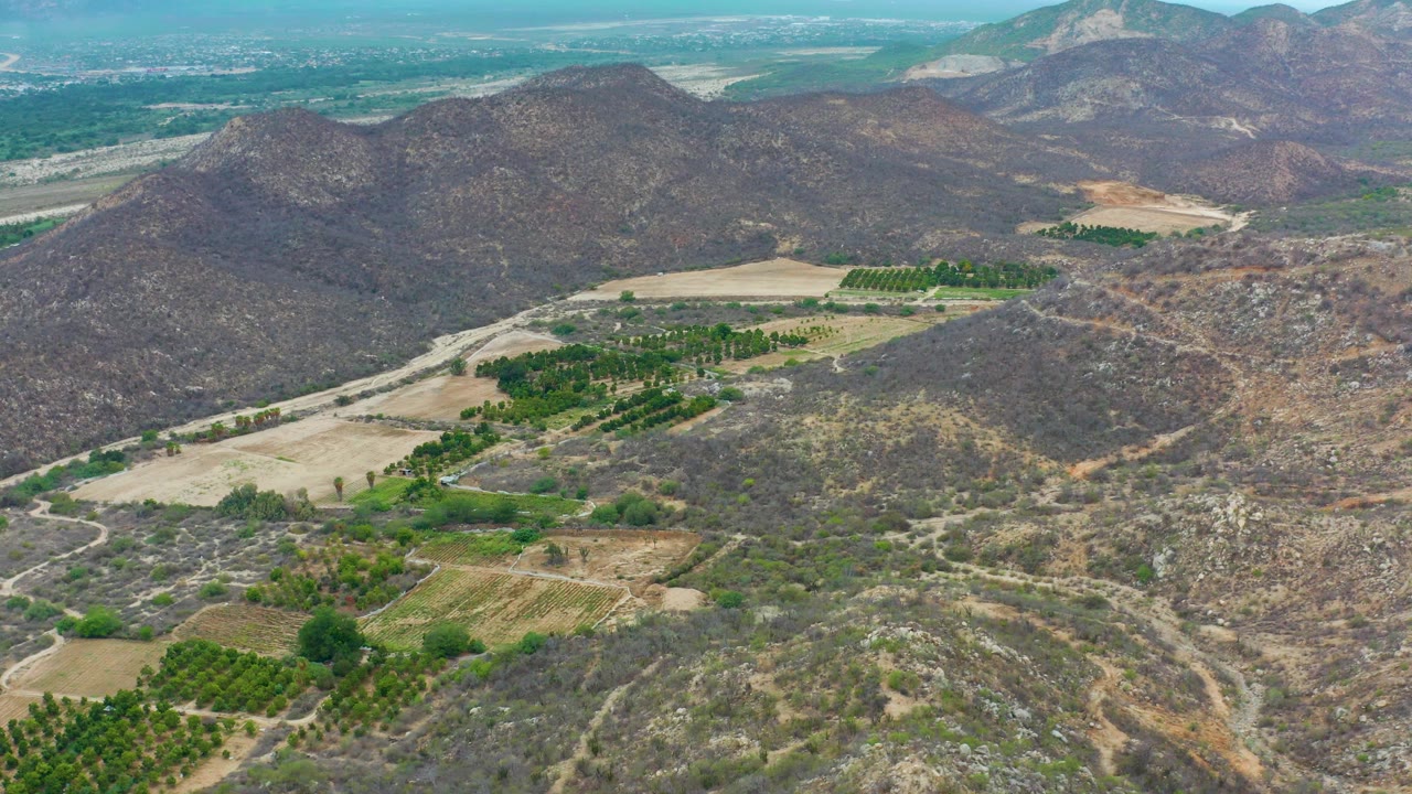 Aerial view in La Playita Los Cabos with tan fields and green crop blocks crossing the valley floor, dirt tracks through scrub, mountain ridges behind, and no visible people.
