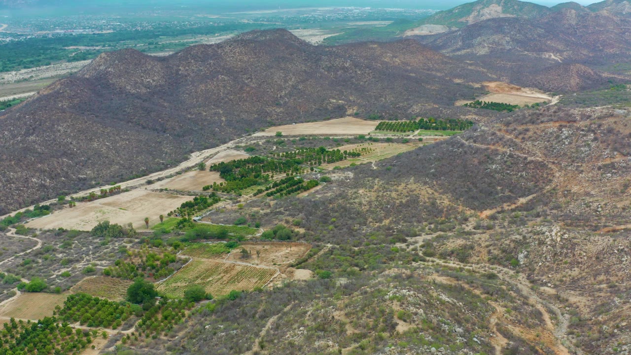 Aerial frame over La Playita Los Cabos where green orchards and pale fields sit below dark rocky hills, with a hazy mountain background and no visible people.