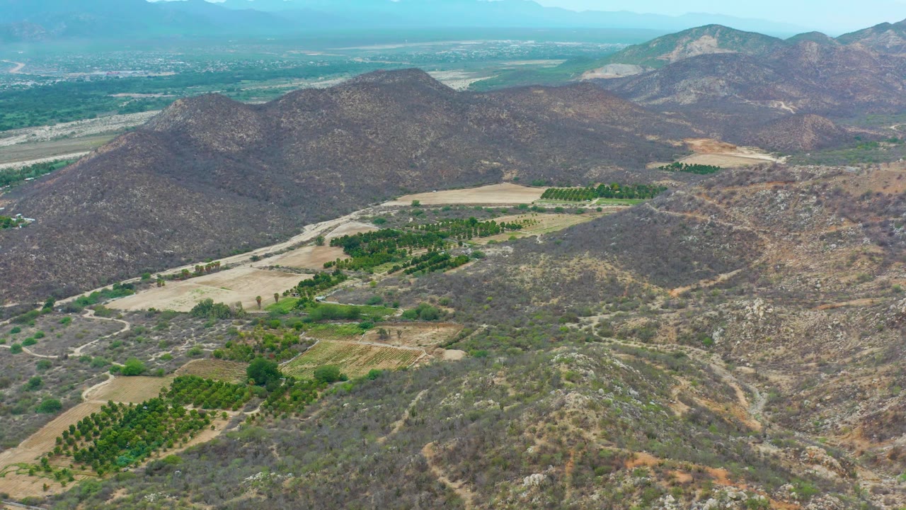 Aerial view in La Playita Los Cabos, Mexico, with scrub-covered hills filling the foreground, rectangular green orchards in the valley, pale fields, far development, and no visible people.