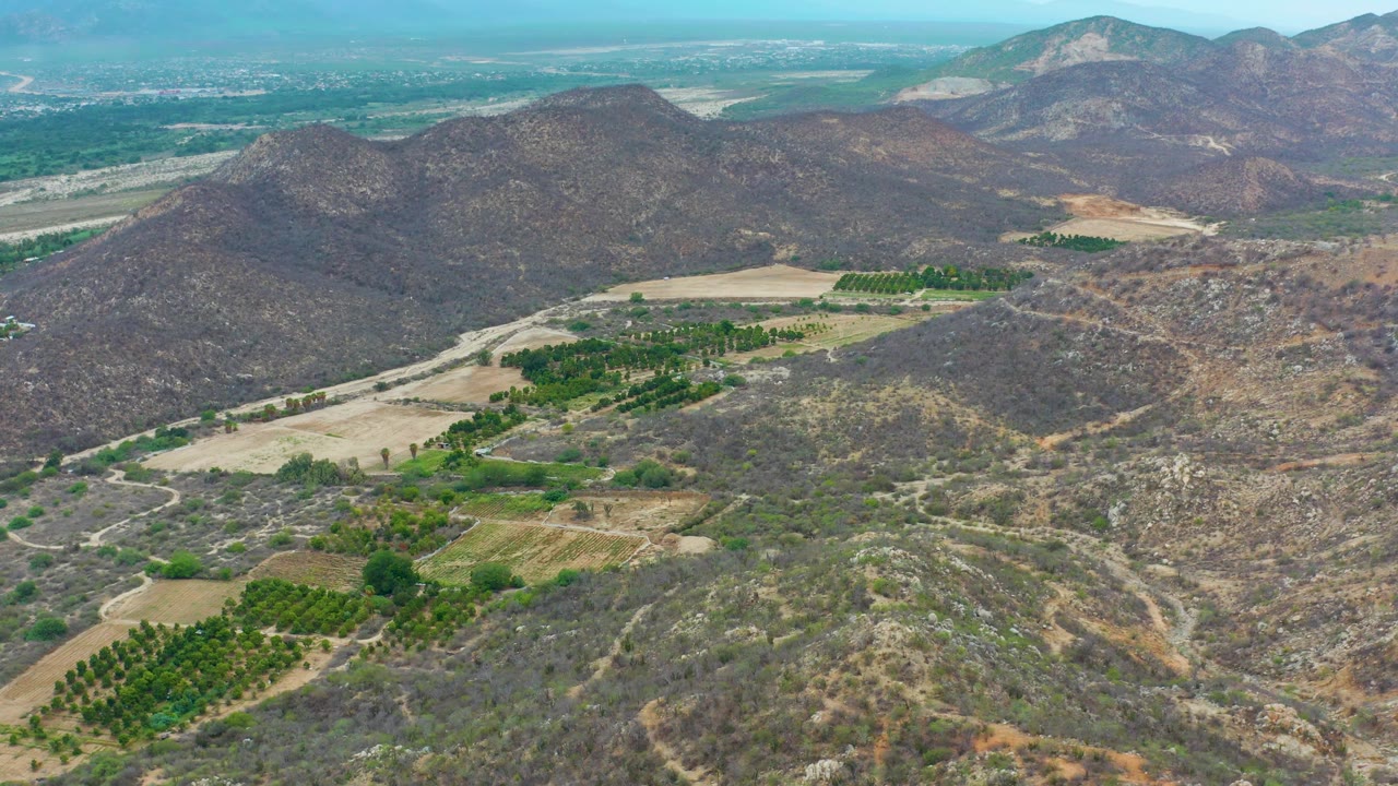 Mid-clip aerial view over La Playita Los Cabos, Mexico, with a winding pale track or wash crossing the lower hills, orchard blocks in the valley, distant buildings, and no visible people.