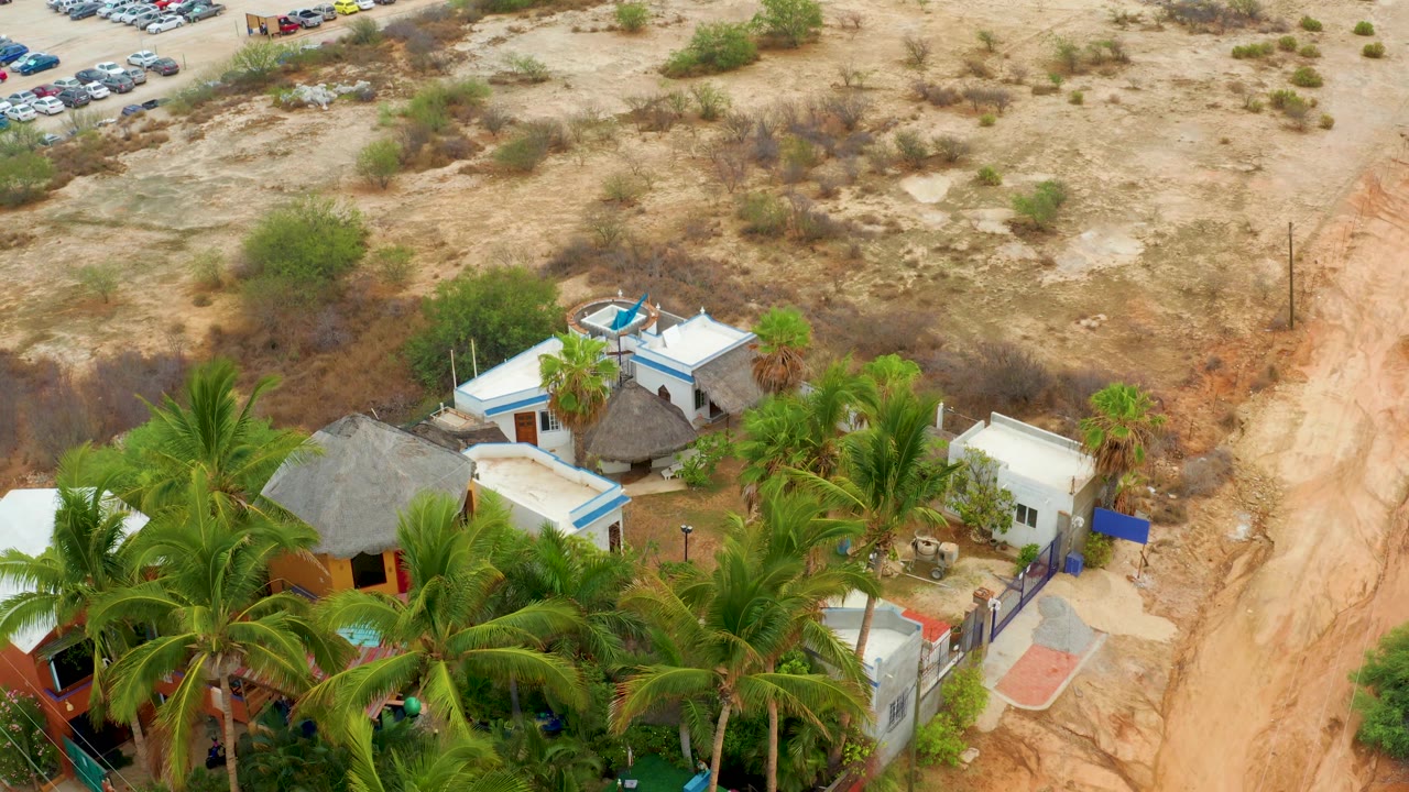 A high angle over La Playita Los Cabos shows dense palms in the lower frame, compact white buildings, a thatched roof, dry sandy terrain, and no visible people.