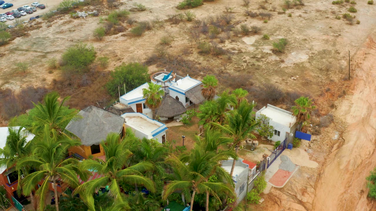 Aerial view of a palm-covered settlement edge and sandy track.