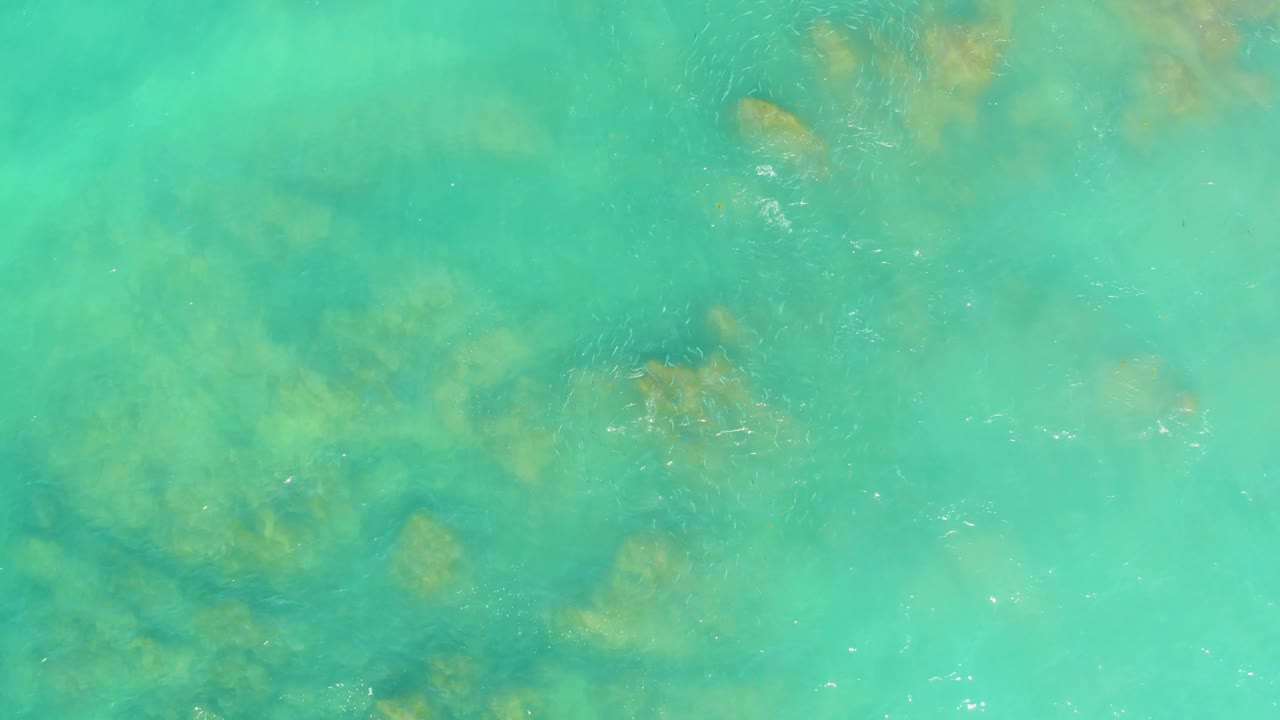 Turquoise coastal water at El Tule Beach Los Cabos shows small highlights on the surface and scattered darker growth beneath, with no visible people or objects.