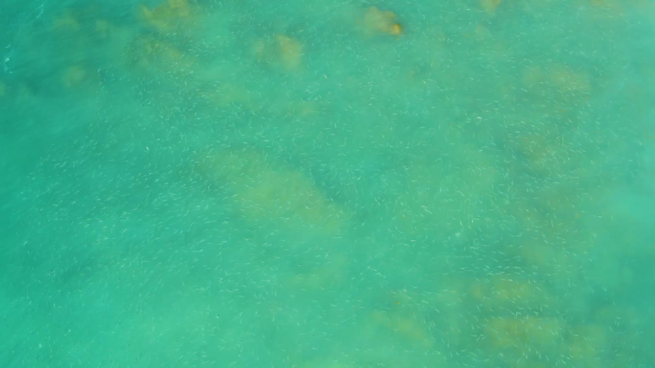 Turquoise shallow water with faint underwater patches.