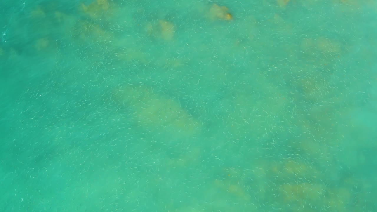 Clear green-blue water fills the frame at El Tule Beach, with pale underwater patches near the top and no visible people.