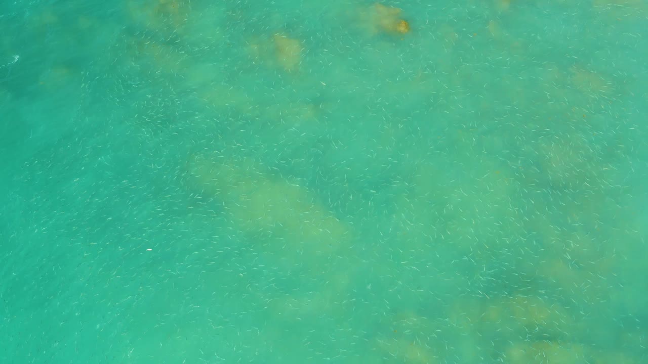 Overhead turquoise ocean water shows softened submerged formations across the upper frame at El Tule Beach, with no visible people.