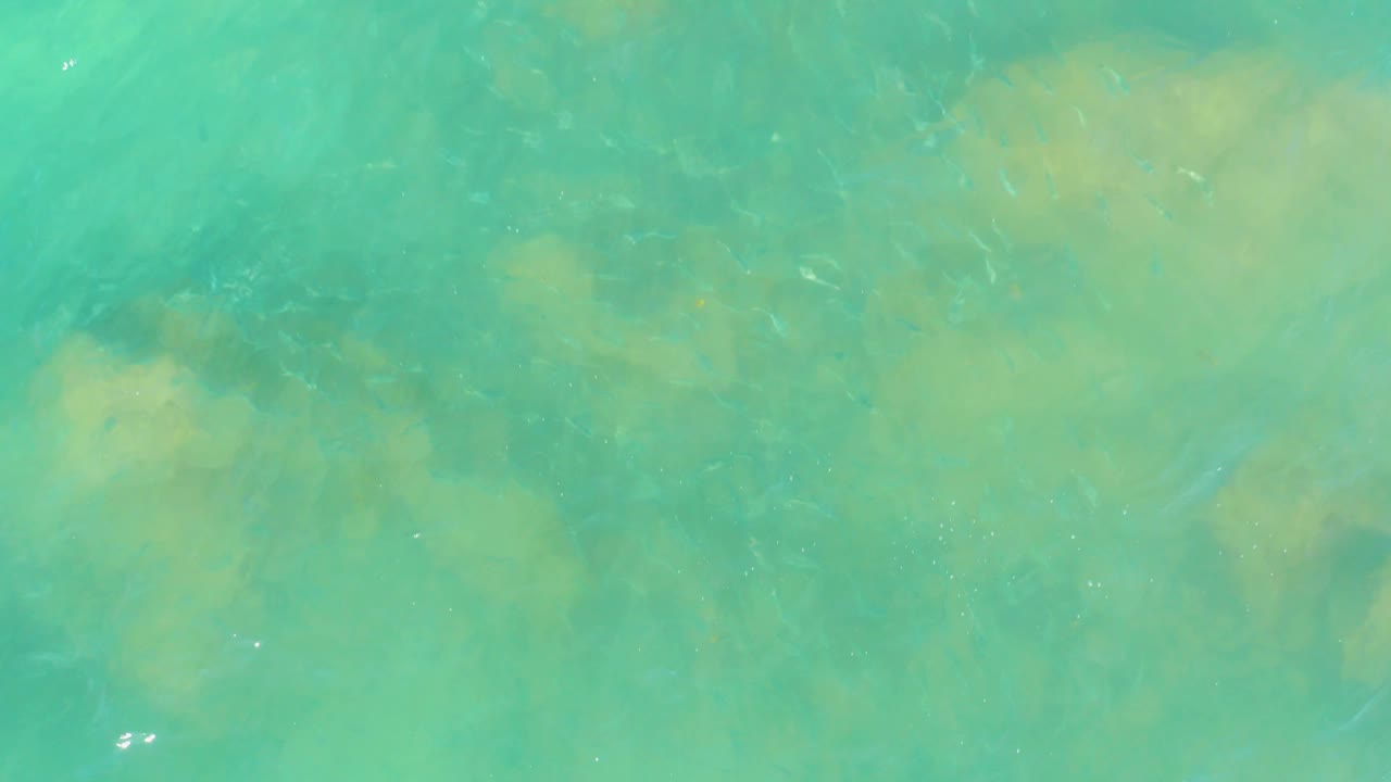 Overhead frame of shallow turquoise water at El Tule Beach Los Cabos, with scattered submerged rocks and small dark fish-like shapes, no visible people.