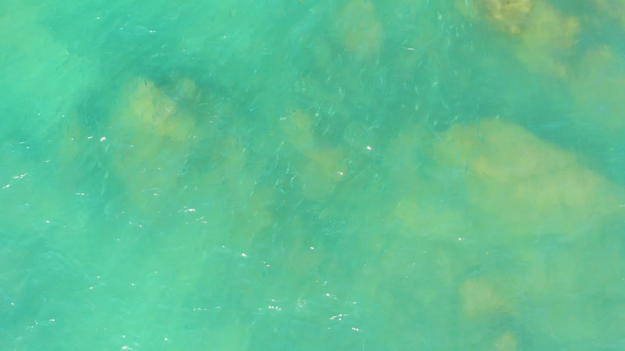 Turquoise shallow water with pale seabed patches and small fish.