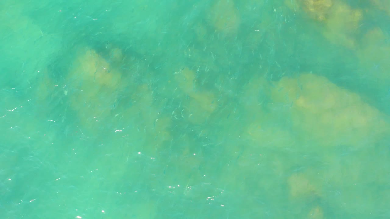 Clear turquoise water at El Tule Beach in Los Cabos shows small dark fish scattered over a softly visible seabed, with no visible people.